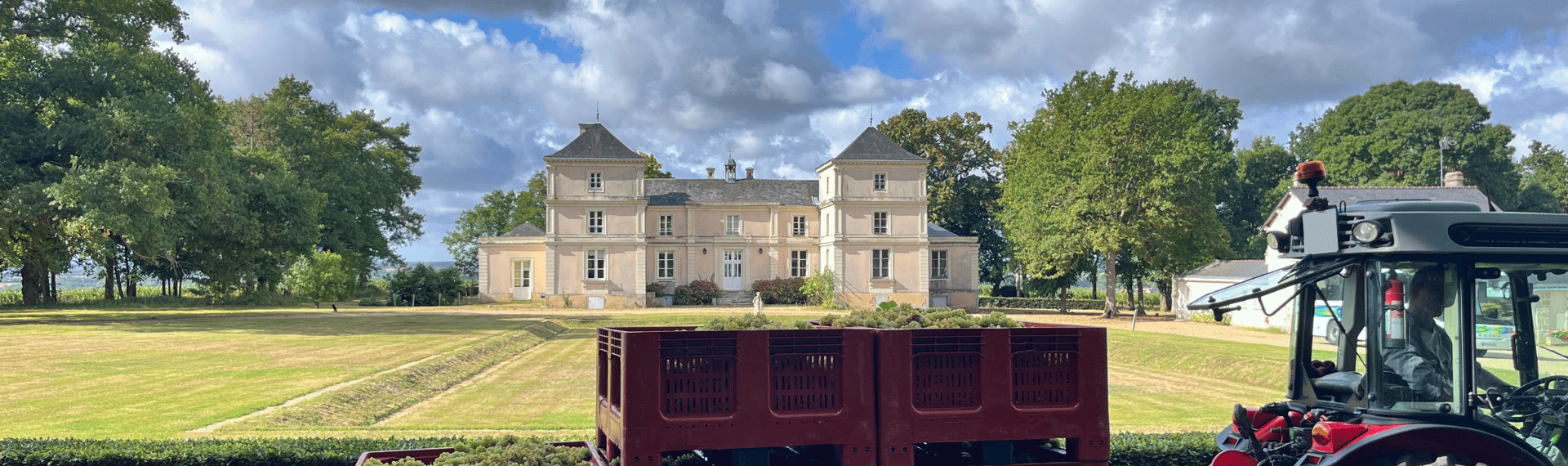 vendanges anjou