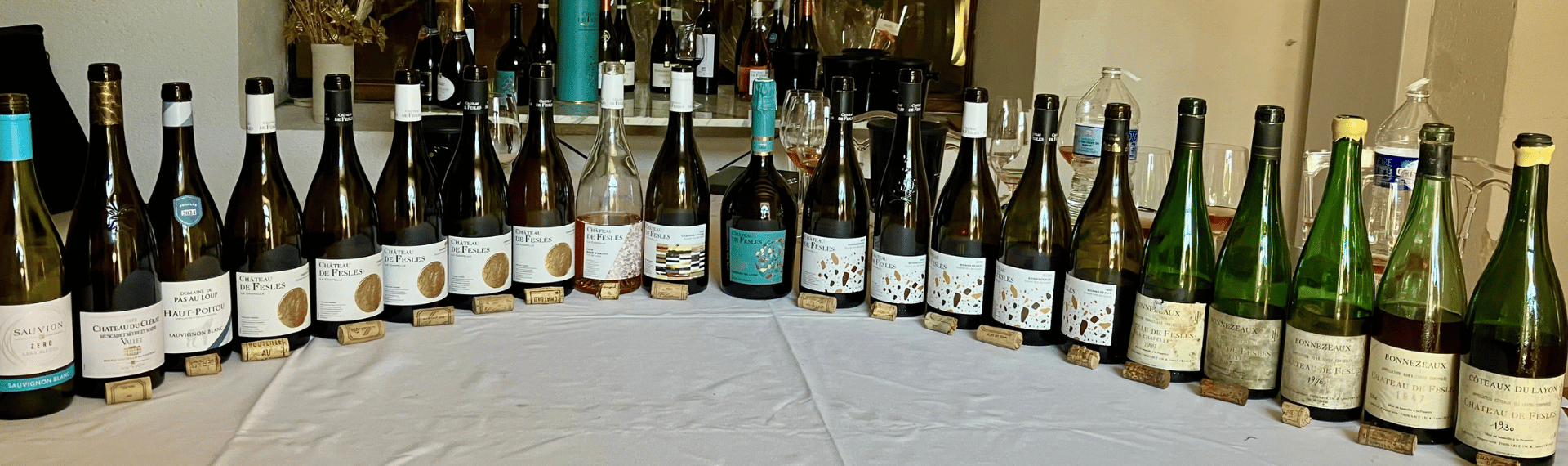 Nos vins Château de Fesles